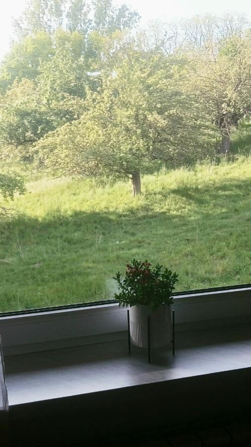 Appartement Przylesie à Uniejów Extérieur photo